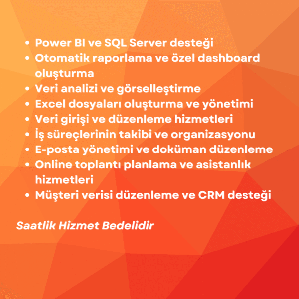 Sanal Asistan ve Veri Yönetimi Paketi - Görsel 2