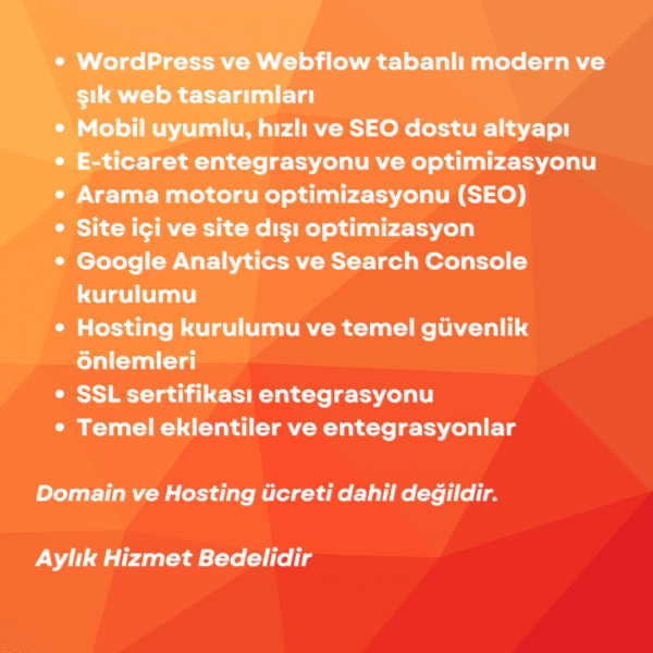 Web Tasarım ve Dijital Hizmet Paketi - Görsel 2